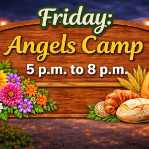 friday: angels camp